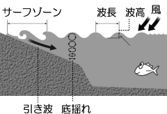 サーフゾーン