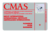 CMASPX^[_Co[J[h