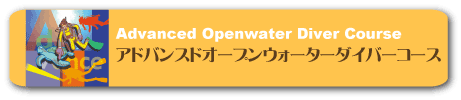 アドバンスドオープンウォーターダイバーコース