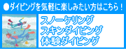 スノーケリング・体験ダイビング・その他