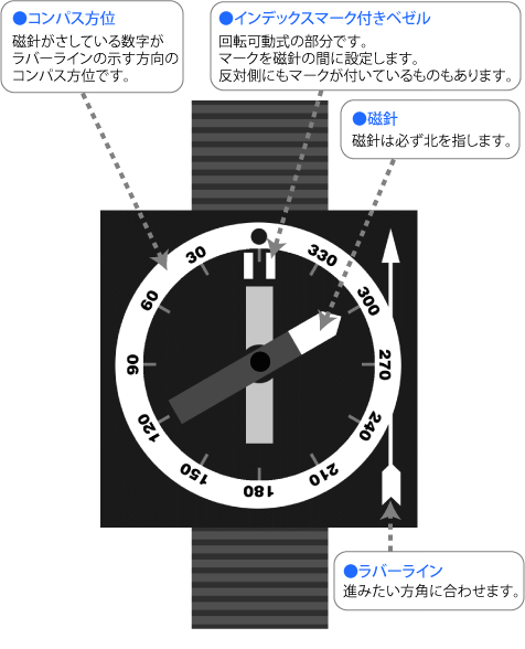 スペシャリティーコース