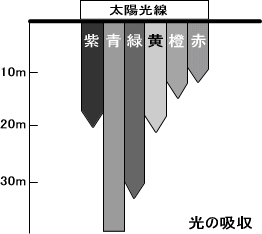 光の吸収