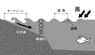 サーフゾーン